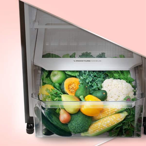 SHARP 380L Inverter Top Freezer Refrigerator SJ3822MSS | 5 Star Energy Efficient AG Nano Deodoriser - Image 7