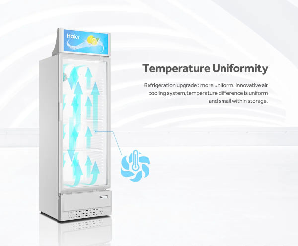 HAIER 239L Display Chiller Showcase SC-248E | Energy Saving (Pre Order) - Image 5