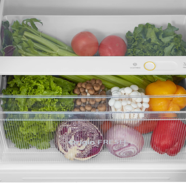 TOSHIBA 310L Inverter 2 Door TMF Refrigerator GR-RT320WE-PMY(SS)​​​​​​​ | 5 Star Energy Efficient Multi Air Flow - Image 7