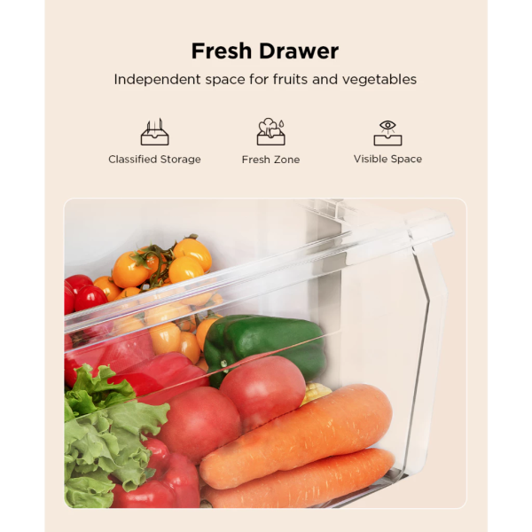 TCL 165L 2 Doors Mini Refrigerator TR-NT185AB | 3 Star Energy Efficient - Image 6